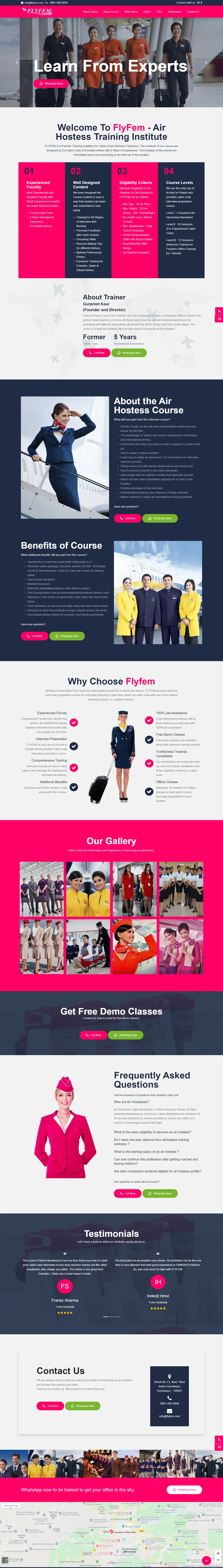 flyfem website image